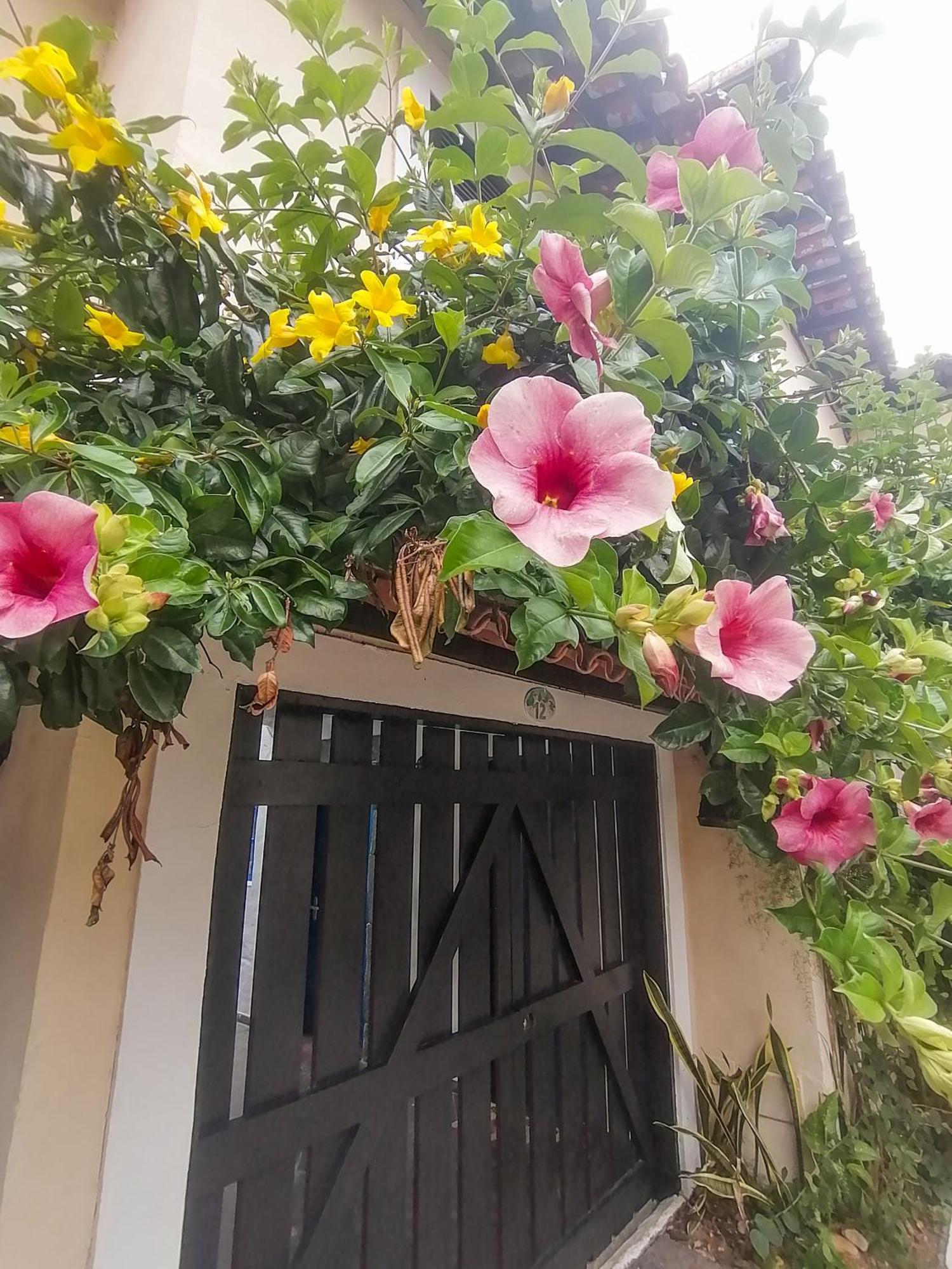 Casa A 500M Da Rua Das Pedras Em Lindo Condominio Com Portaria 24H Búzios エクステリア 写真