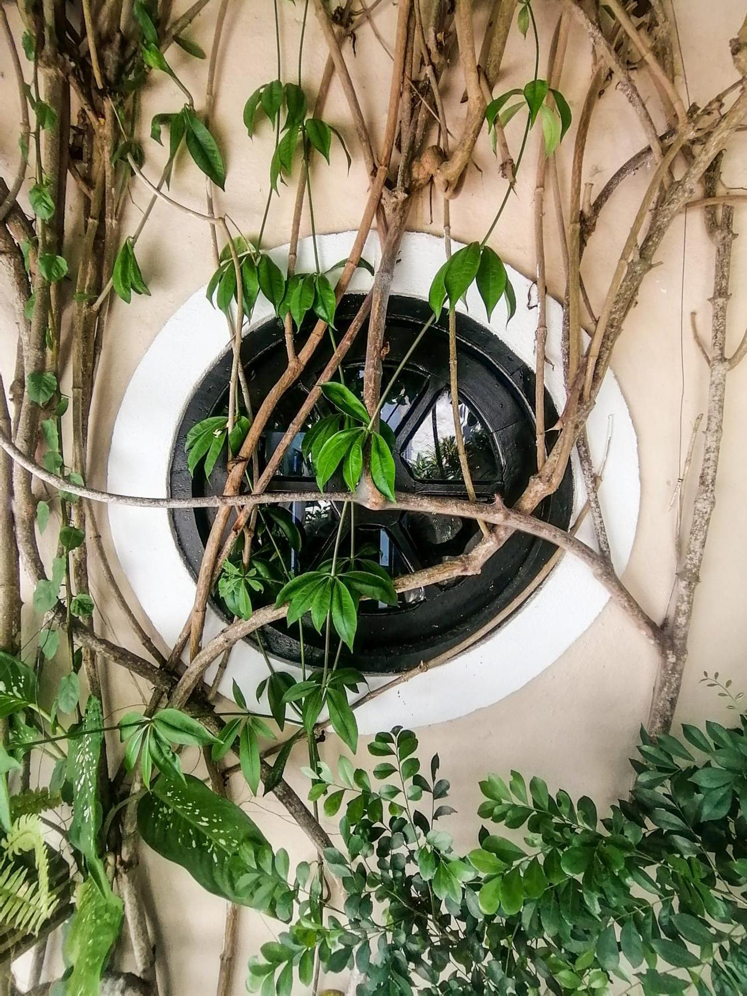 Casa A 500M Da Rua Das Pedras Em Lindo Condominio Com Portaria 24H Búzios エクステリア 写真